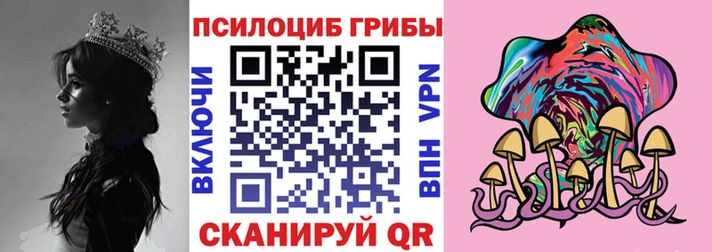Галлюциногенные грибы Psilocybine cubensis  Липки 